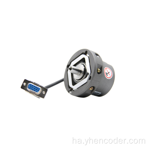 Mana Linear Ecoder Eccoder